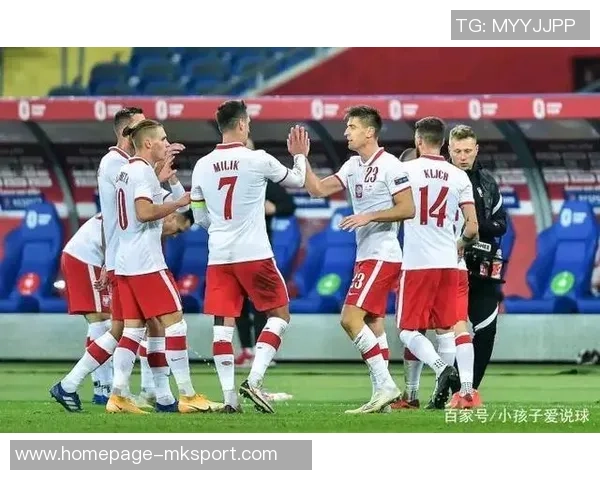 奥地利与俄罗斯精彩对决视频回顾分析及比赛亮点总结