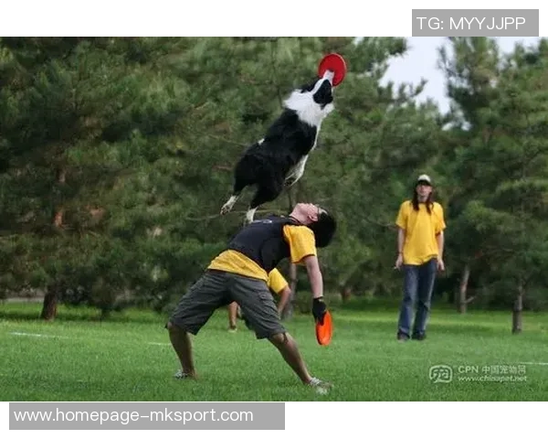 成都飞盘队与西安飞盘队赛后状态分析与复盘总结